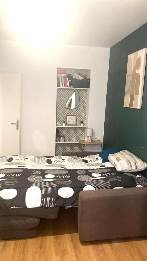 Chambre En Appartement Haussmannien En Centre Ville Saint-Etienne  Kültér fotó