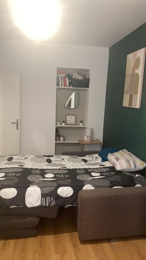 Chambre En Appartement Haussmannien En Centre Ville Saint-Etienne  Kültér fotó